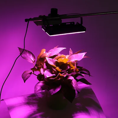 انواع لامپ های پرورش گل و گیاه