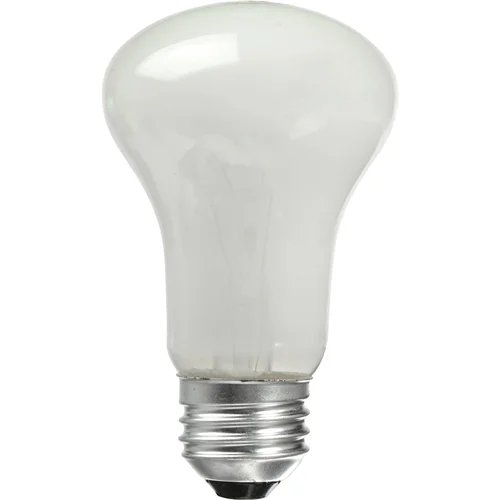 لامپ LED قارچی فیلیپس هلند (مخصوص یخچال های خارجی)  - 60 وات